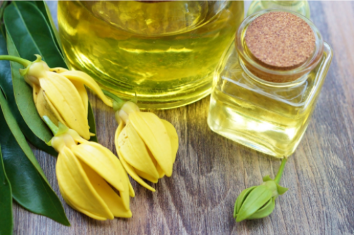 ylang ylang oil